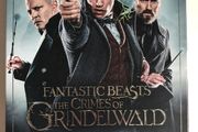 Fantastic Beasts: The Crimes Of Grindelwald [2018] Eddie Redmayne, Katherine Waterston, Dan Fogler, Alison Sudol, Ezra Miller, Zoe Kravitz, Callum Turner, Claudia Kim, Jude Law, &amp; Johnny Depp [DVD Movie]
