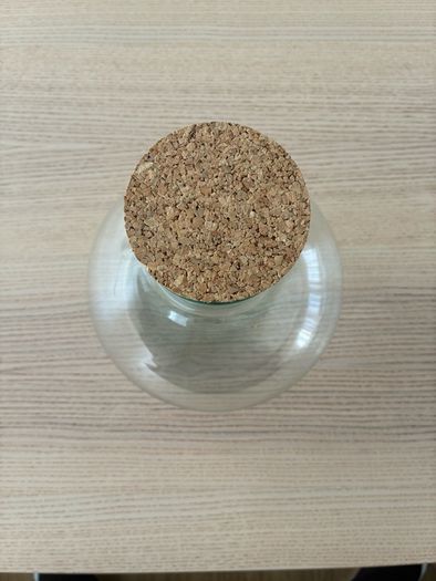 Plant jar / terrarium