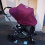 buggy Image 5