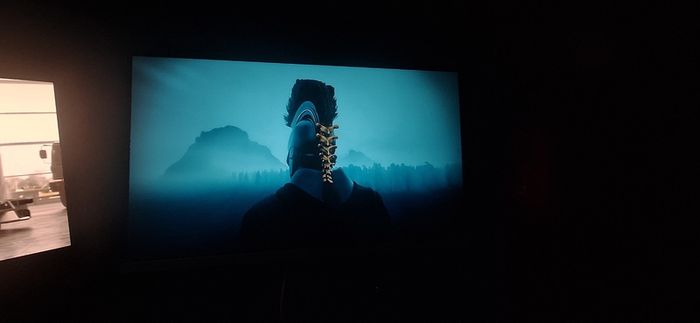 Gaming monitor