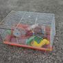 Hamster Cages Image 7
