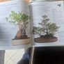 The Complete Book Of Bonsai Plus The New Gardner. And The Countru Diary Book Of Flowers. 3 Large Volume Hardback With Dustjacket In Good Condition.  See Photos For Same. Image 3
