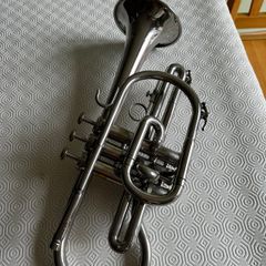 Bentley Trumpet