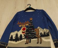 Children's Christmas jumper age 12-13  ( size 33-34 )