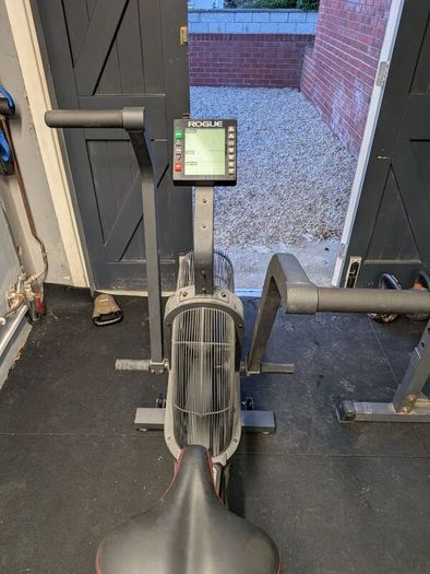 Assault Bike Rogue Echo