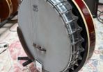 Tenor Banjo - Karina Gold L123