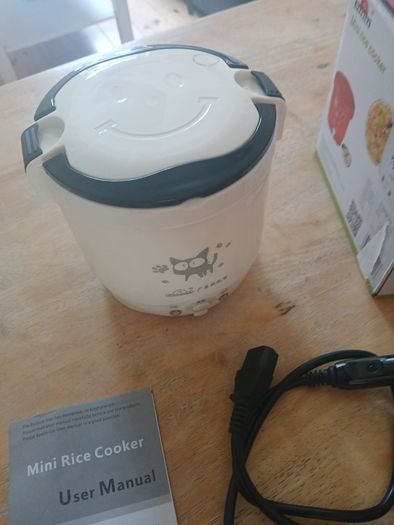 Electric car cooker