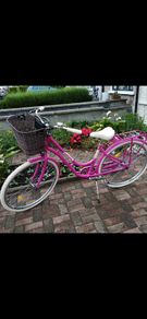 Ladies bike