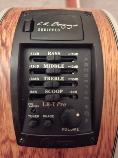 Crafter Electro Acoustic Bass Mint Condition PRICE DROP