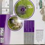 PetSafe Automatic Ball Launcher; NEW; Opened Box Image 5