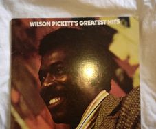 Wilson picket