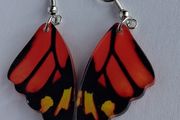 Monarch Butterfly Wing Earrings