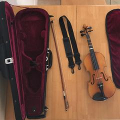 3/4 length violin