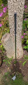 Mizuno Pro 243 7 iron Club 2 upright