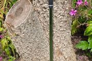 Mizuno Pro 243 7 iron Club 2 upright