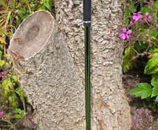 Mizuno Pro 243 7 iron Club 2 upright