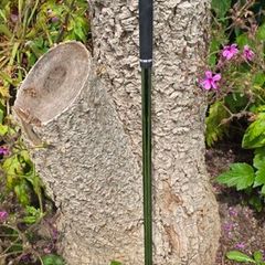 Mizuno Pro 243 7 iron Club 2 upright