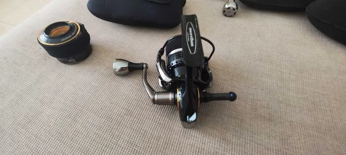 Daiwa Moretham Branzino 3000