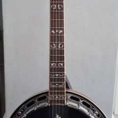 Washburn Banjo
