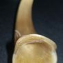Vintage handmade horn fish Image 2