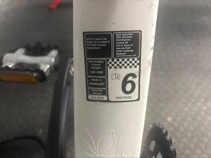 Adult Bike