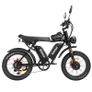 Ridstar Q20 Pro Electric Bike Image 2