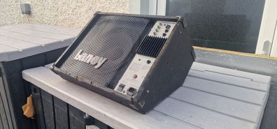 Laney 120W