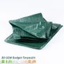 Budget Tarpaulin 7m x 11m (23' - 36') 80 gsm green Image 3