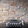 Ibanez S320DX Image 8