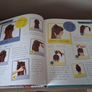Hairstyles for Kids Image 3