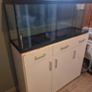 100 l fish tank Image 3