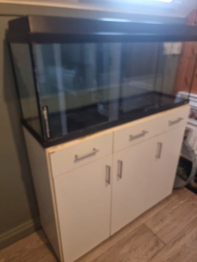100 l fish tank