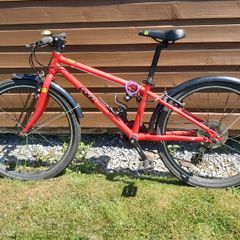 Frog bike 62