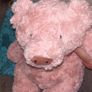 Jellycat Image 5