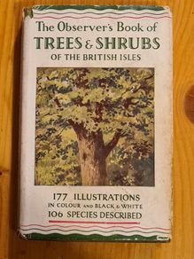 .The Observers Book Of TRRES & shrubs Of The British ISLES. 240 PAGES POCKET SIZE.