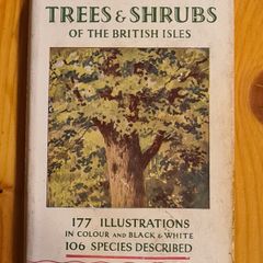 .The Observers Book Of TRRES & shrubs Of The British ISLES. 240 PAGES POCKET SIZE.