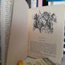 Son of the Black Stallion by Walter Farley. Drawings by Hofbauer (LP225) Image 3