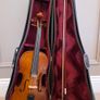 Stentor 1 Student Violin Image 5