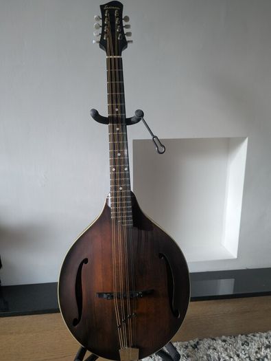 Eastman MDO305