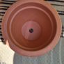 Terracotta pots Image 3