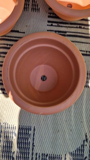 Terracotta pots