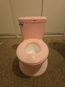 training potty