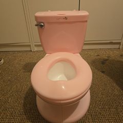 training potty