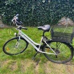 Women's Bike Orion Lady Green