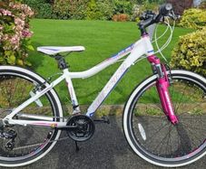 bikes