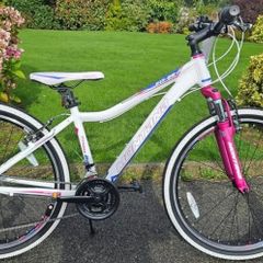 bikes