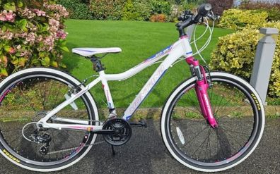 bikes
