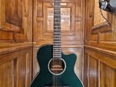 Takamine LTD2025