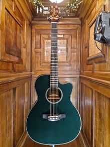 Takamine LTD2025