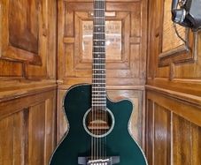 Takamine LTD2025